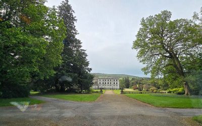 Tree Surgery at Curraghmore Estate, Co. Waterford Part 2
