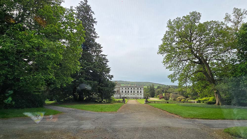 Tree Surgery County Waterford