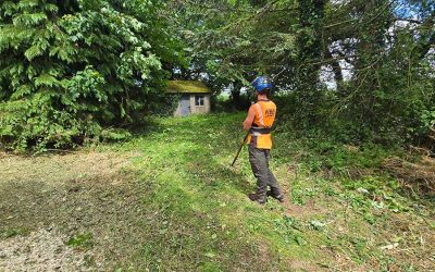 Tree Surgery, Tree Cutting and Garden Clearance in Ballyshonin, Cork