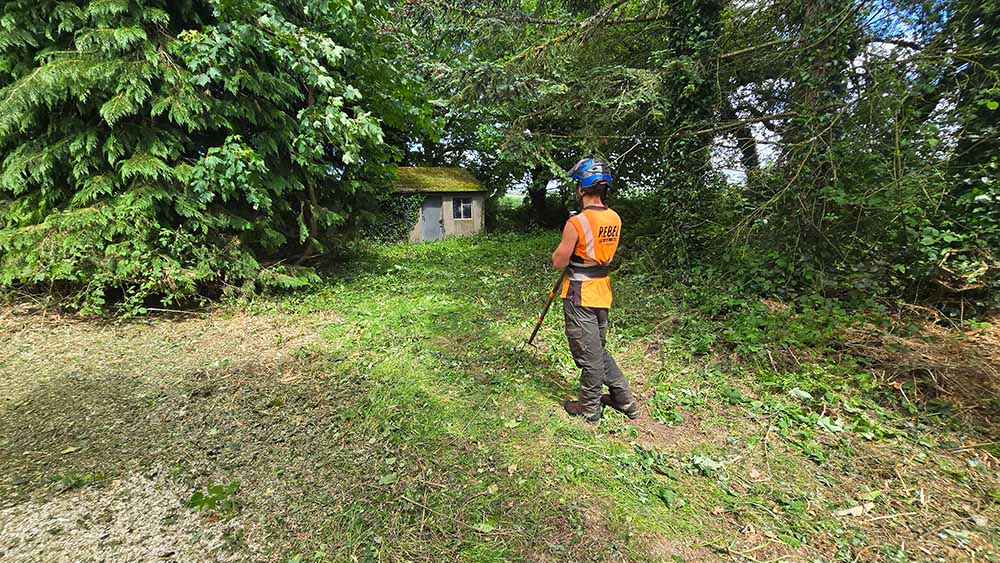 Tree Surgery and Tree Cutting in Ballyshonin Cork Tree Surgery and Tree Cutting Cork